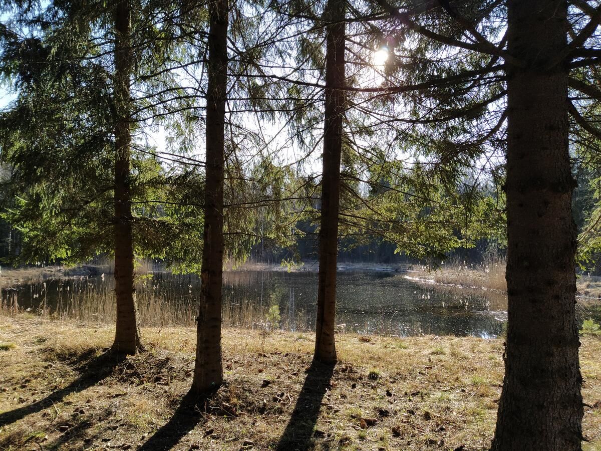 Загородные дома Trakų vienkiemis Daumilai-10