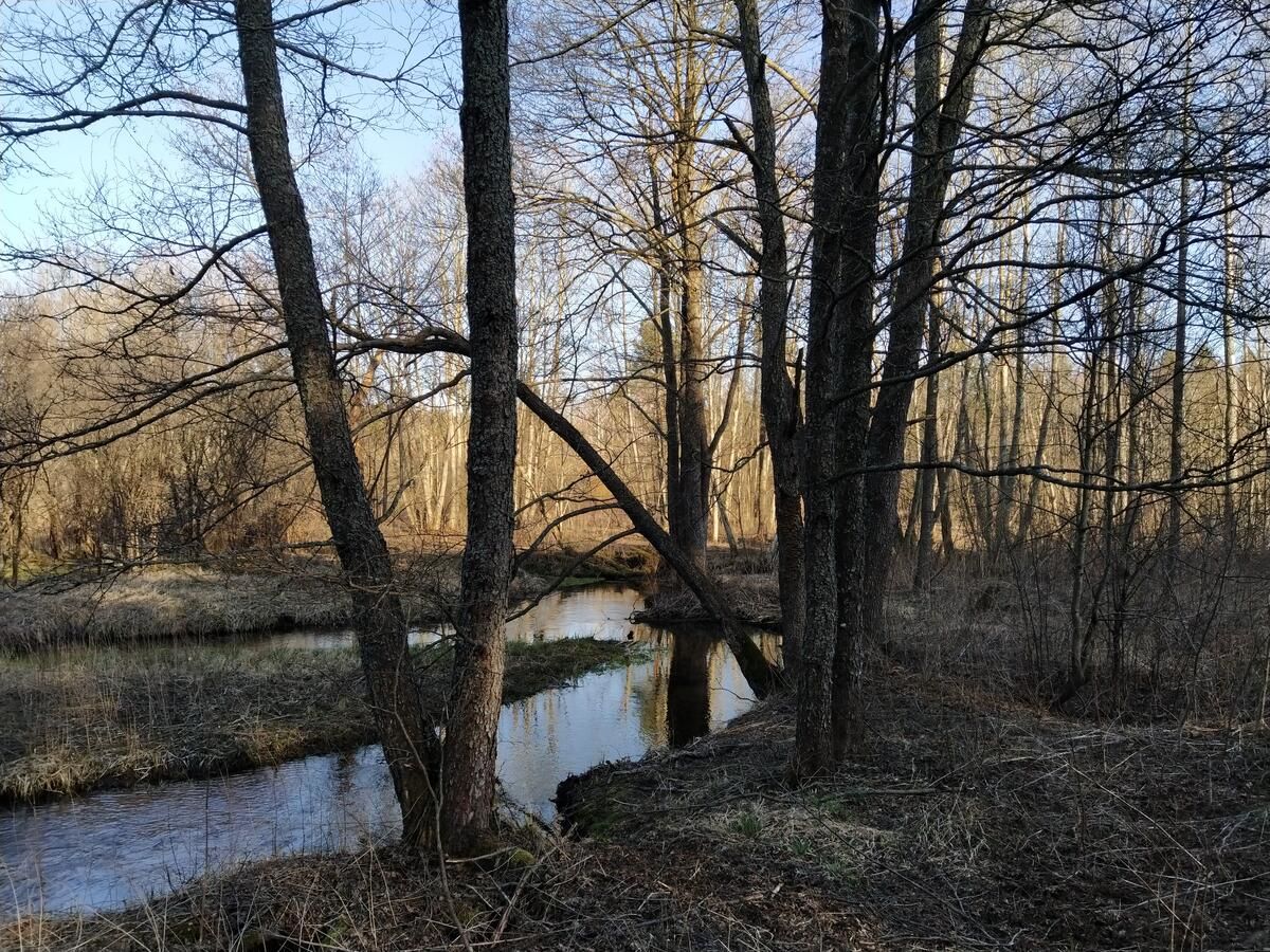 Загородные дома Trakų vienkiemis Daumilai-11